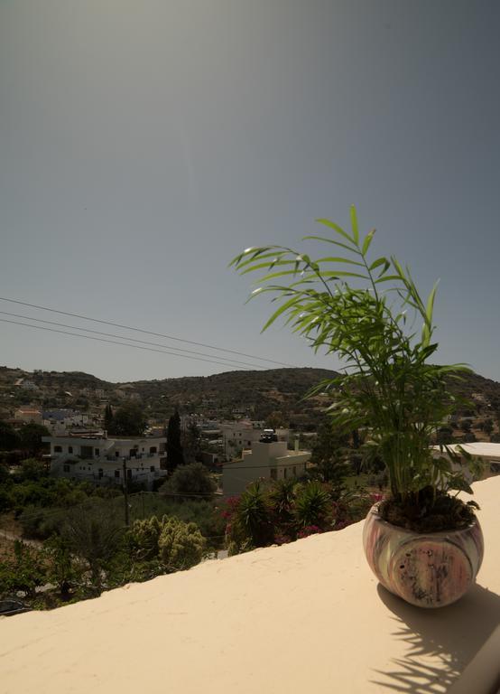 Bodikos Villas & Apartments Pitsidia Eksteriør bilde